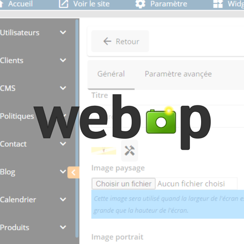 WebP : un format d'image à privilégier pour optimiser votre site web